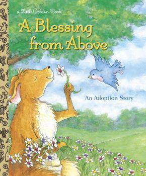 Hardcover A Blessing from Above Book