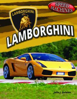 Library Binding Lamborghini Book