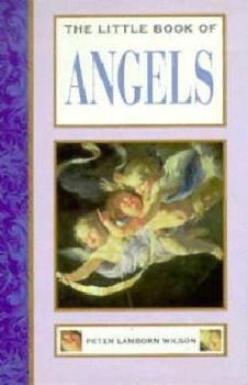Hardcover Little Book of Angels Book