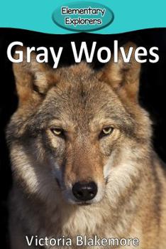 Paperback Gray Wolves Book