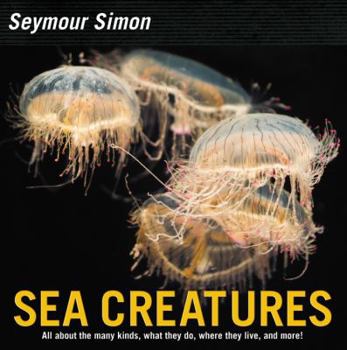 Hardcover Sea Creatures Book