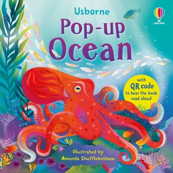 Board book Pop-Up Ocean Book