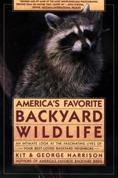 Paperback America's Favorite Backyard Wildlife Book