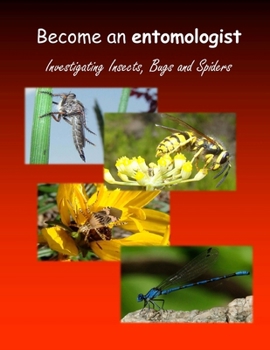 Paperback Become an entomologist: Investigating Insects, Bugs and Spiders Book