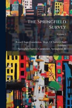Paperback The Springfield Survey: Study of Social Conditions in an American City; Volume 3 Book