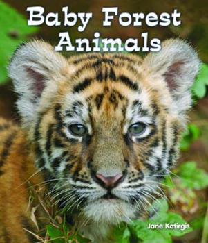 Baby Forest Animals - Book  of the All About Baby Animals