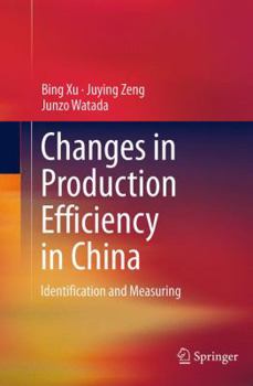 Paperback Changes in Production Efficiency in China: Identification and Measuring Book