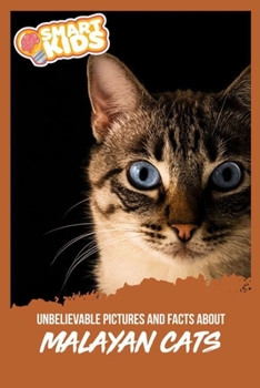 Unbelievable Pictures and Facts About Malayan Cats