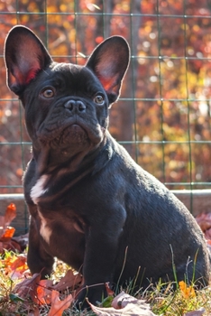 French Bulldogs Dog Pup Puppy Doggie Notebook Bullet Journal Diary Composition Book Notepad - On The Meadow: Cute Animal Pet Owner Composition Book ... Ruled Lined Paper Pages in 6” x 9” Inch