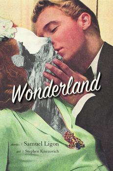 Paperback Wonderland Book