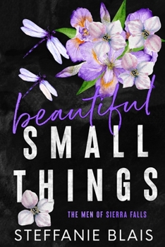 Beautiful Small Things - Book  of the Men of Sierra Falls