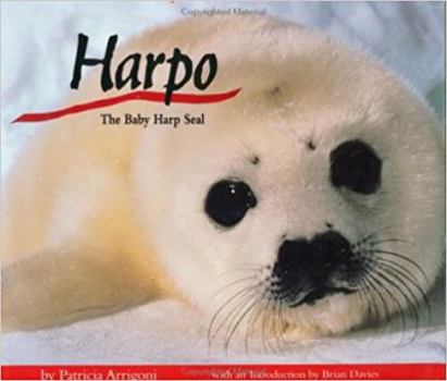 Hardcover Harpo: The Baby Harp Seal Book