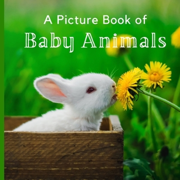Paperback A Picture Book of Baby Animals: A Beautiful Picture Book for Seniors With Alzheimer's or Dementia. Book