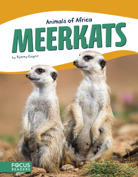 Library Binding Meerkats Book