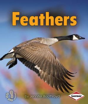 Feathers - Book  of the First Step Nonfiction: Body Coverings