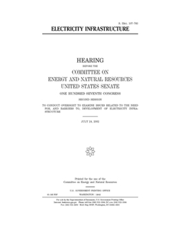 Paperback Electricity infrastructure Book
