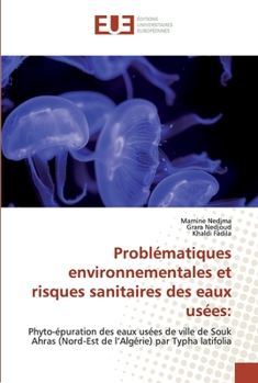 Paperback Problématiques environnementales et risques sanitaires des eaux usées [French] Book