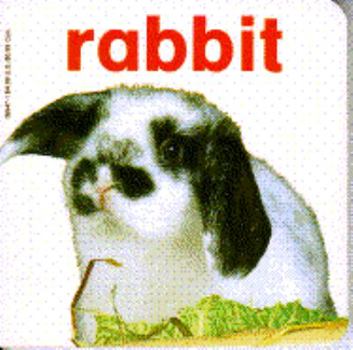 Hardcover Rabbit Book