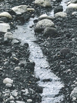 Riverbed: Olafur Eliasson at Louisiana