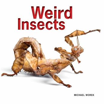 Paperback Weird Insects Book