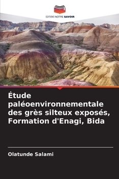 Étude paléoenvironnementale des grès silteux exposés, Formation d'Enagi, Bida (French Edition)