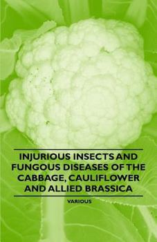 Injurious Insects and Fungous Diseases of the Cabbage, Cauliflower and Allied Brassica