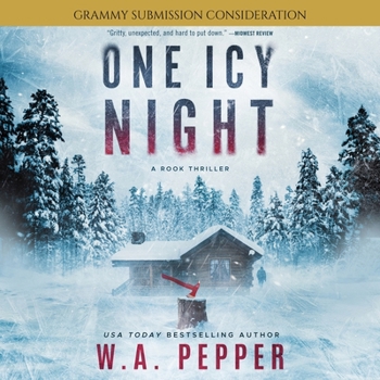 MP3 CD One Icy Night: A Rook Thriller Book