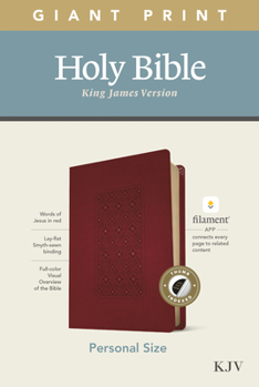 Imitation Leather KJV Personal Size Giant Print Bible, Filament Enabled Edition (Leatherlike, Diamond Frame Cranberry, Indexed) [Large Print] Book