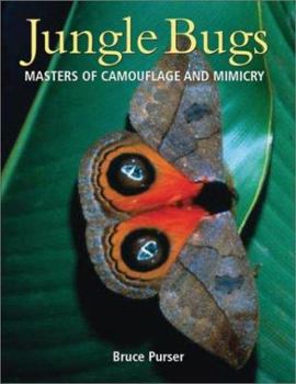 Paperback Jungle Bugs: Masters of Camouflage and Mimicry Book
