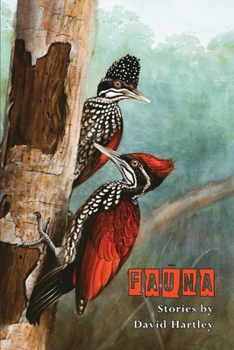 Paperback Fauna Book