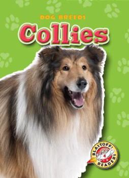 Collies - Book  of the Dog Breeds