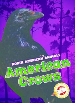 American Crows