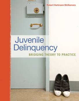 Paperback Juvenile Delinquency: Bridging Theory to Practice Book