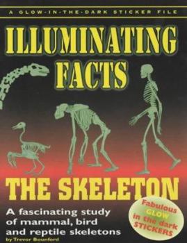 Paperback Skeletons Book
