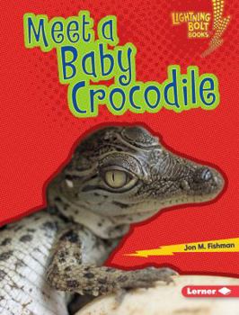 Library Binding Meet a Baby Crocodile Book