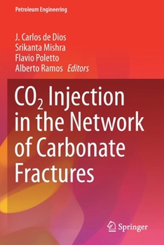 Paperback CO2 Injection in the Network of Carbonate Fractures Book