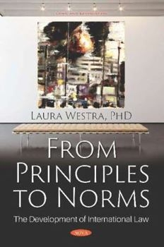 From Principles to Norms: the Development of International Law