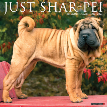 Calendar Just Shar-Peis 2023 Wall Calendar Book