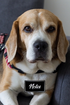 Beagle Dog Pup Puppy Doggie Notebook Bullet Journal Diary Composition Book Notepad - Relax On Sofa: Cute Animal Pet Owner Composition Book with 100 Unruled Plain Blank Paper Pages in 6 x 9 Inch