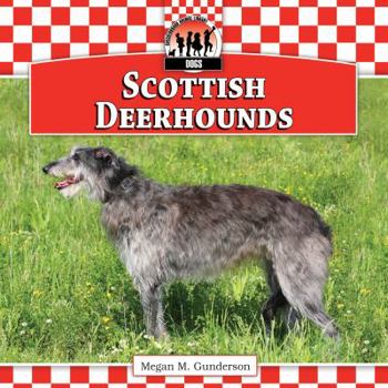Library Binding Scottish Deerhounds Book