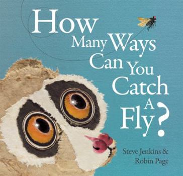 Hardcover How Many Ways Can You Catch a Fly? Book