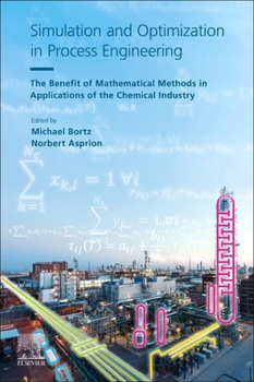 Paperback Simulation and Optimization in Process Engineering: The Benefit of Mathematical Methods in Applications of the Chemical Industry Book