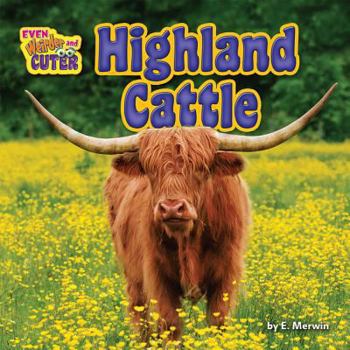 Library Binding Highland Cattle Book