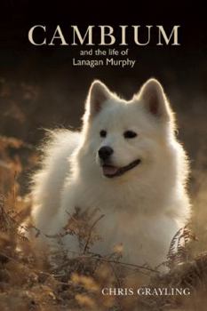 Paperback Cambium: And the Life of Lanagan Murphy Book