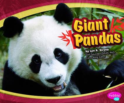 Giant Pandas - Book  of the Asian Animals