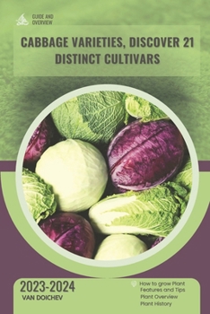 How to Transplant Your Tomatoes in 7 Easy Steps: Guide and overview