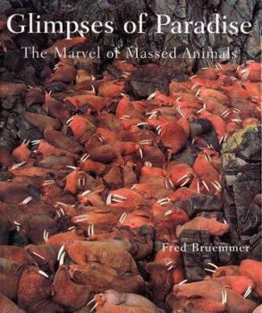Hardcover Glimpses of Paradise: The Marvel of Massed Animals Book