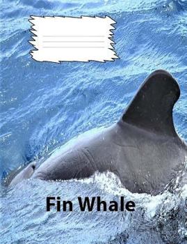 Fin Whales Wide Ruled Line paper Composition Book: Whale fans, elementary notebook, school suppies, elderly notebooks, visual impaired