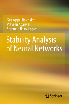 Paperback Stability Analysis of Neural Networks Book
