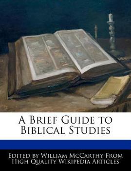 Paperback A Brief Guide to Biblical Studies Book